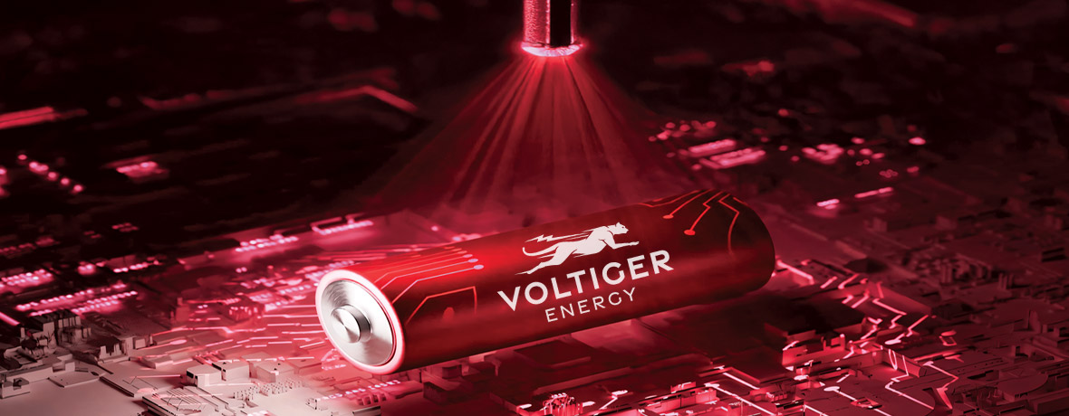 Voltiger Banner Alt