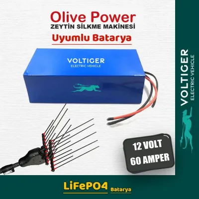 Voltiger 12 Volt 60 Amper (12V 60Ah) LiFePO4 Lityum Batarya — Olive Power Uyumlu