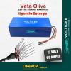 Voltiger 12 Volt 60 Amper (12V 60Ah) LiFePO4 Lityum Batarya — Veta Olive Uyumlu